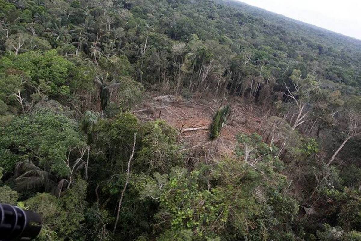 Abatidos cuatro guerrilleros de la 'Teófilo Forero' en Meta (Foto: Colprensa/VANGUARDIA LIBERAL)