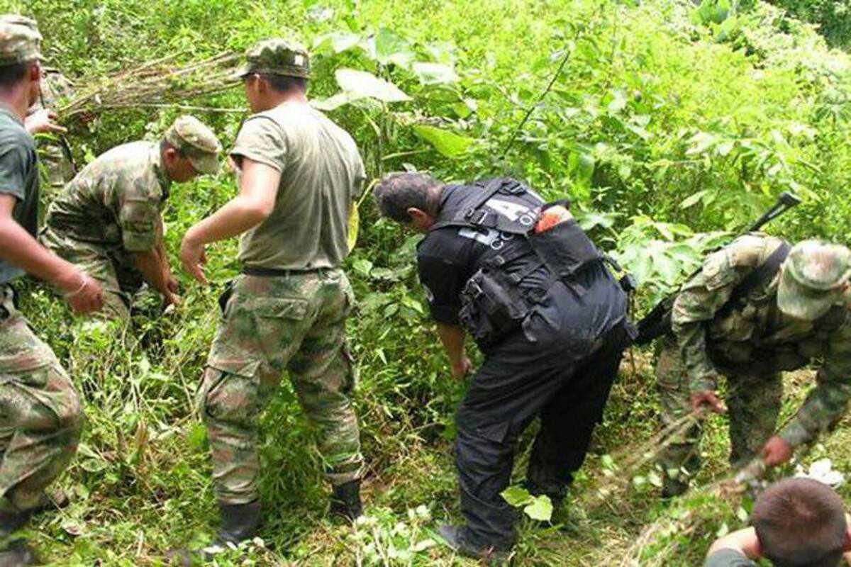 Narcotráfico, negocio muy difícil de ocultar para las Farc (Foto: Archivo/VANGUARDIA LIBERAL)