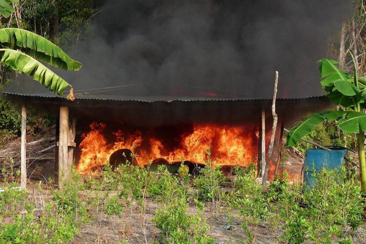 Destruyen laboratorios de coca en Cúcuta (Foto: COLPRENSA/VANGUARDIA LIBERAL)