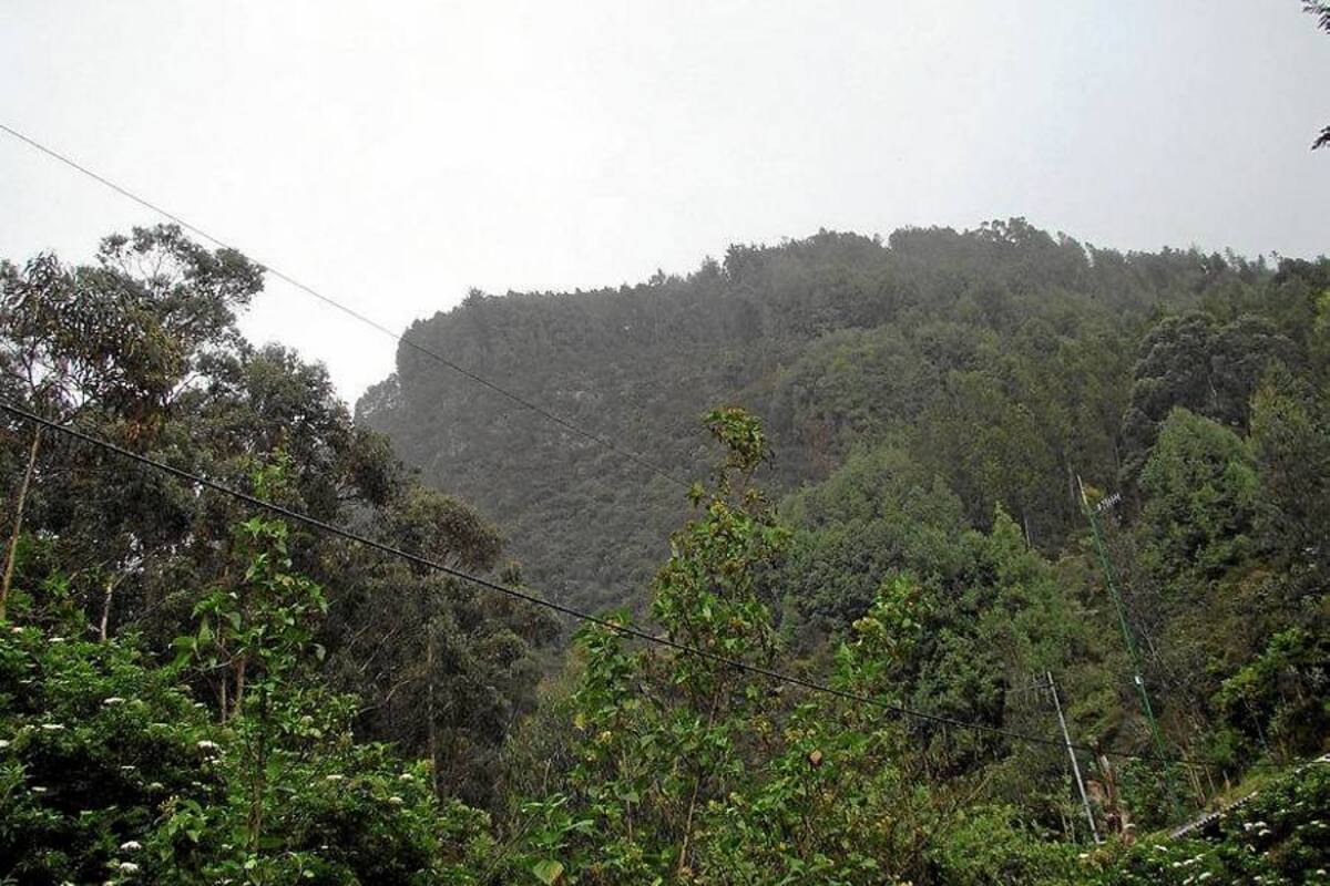 Encuentran a profesor extraviado en Monserrate (Foto: Archivo/VANGUARDIA LIBERAL)