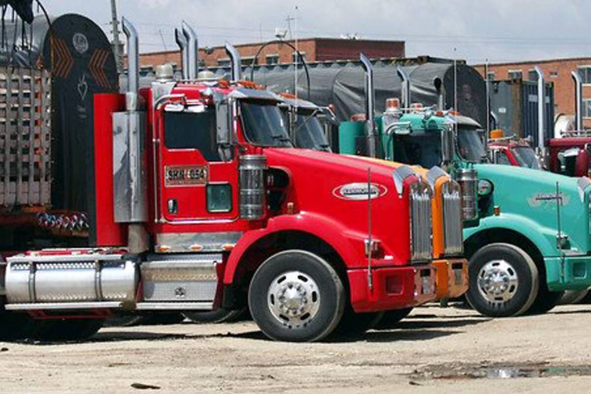 Pacto de camioneros y gobierno frenará venta de 3 mil vehículos (Foto: Colprensa/VANGUARDIA LIBERAL)