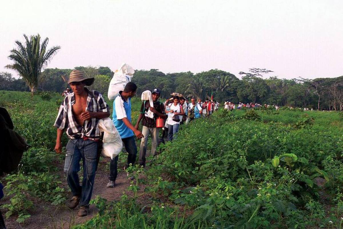 Zonas de reserva campesina: un debate reabierto en La Habana (Foto: COLPRENSA/VANGUARDIA LIBERAL)