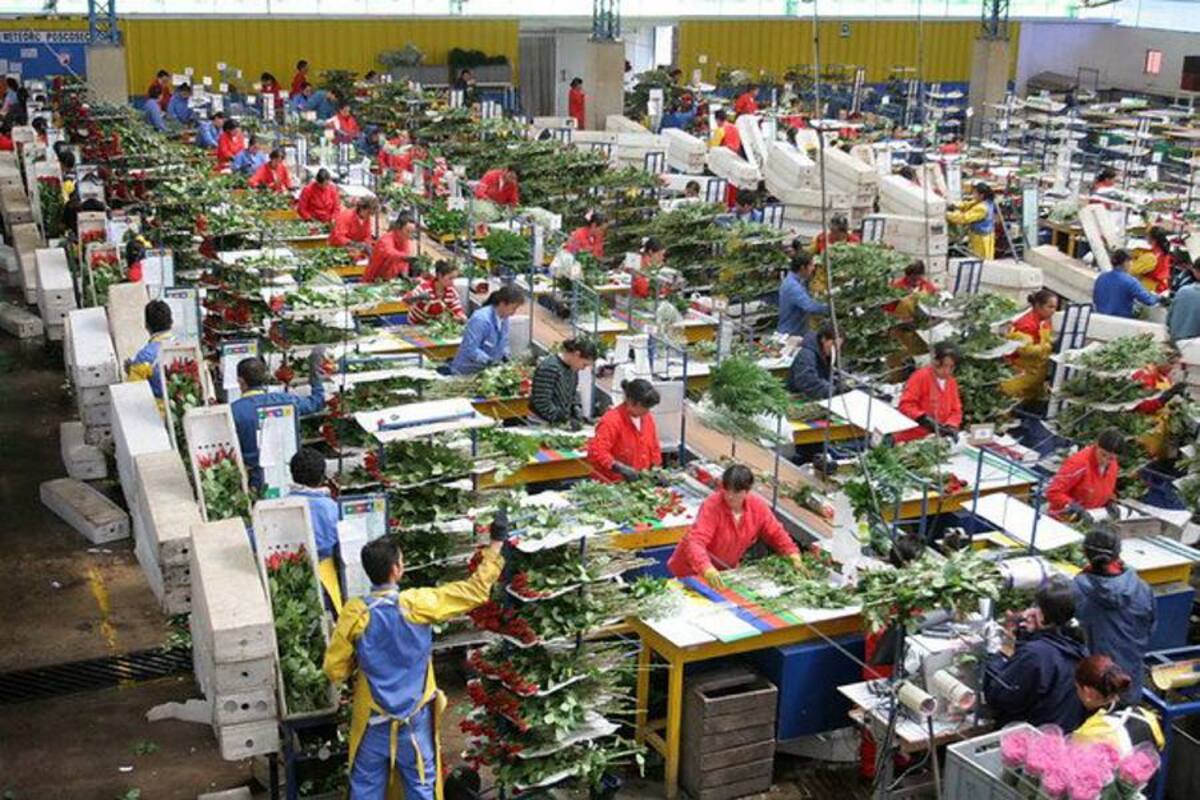 Exportaciones de Colombia aumentarían con victoria de Capriles (Foto: Archivo/VANGUARDIA LIBERAL)