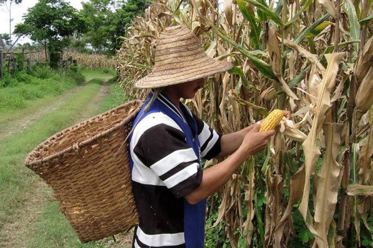 Índice de precios al productor creció 0,17% en febrero (Foto: Archivo/VANGUARDIA LIBERAL)
