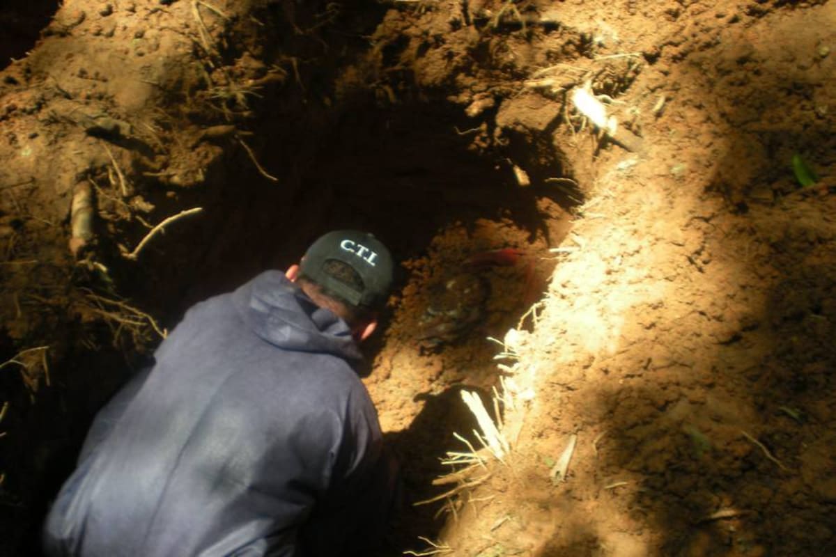 Asegurados por homicidio de militar retirado y su familia (Foto: Colprensa/VANGUARDIA LIBERAL)
