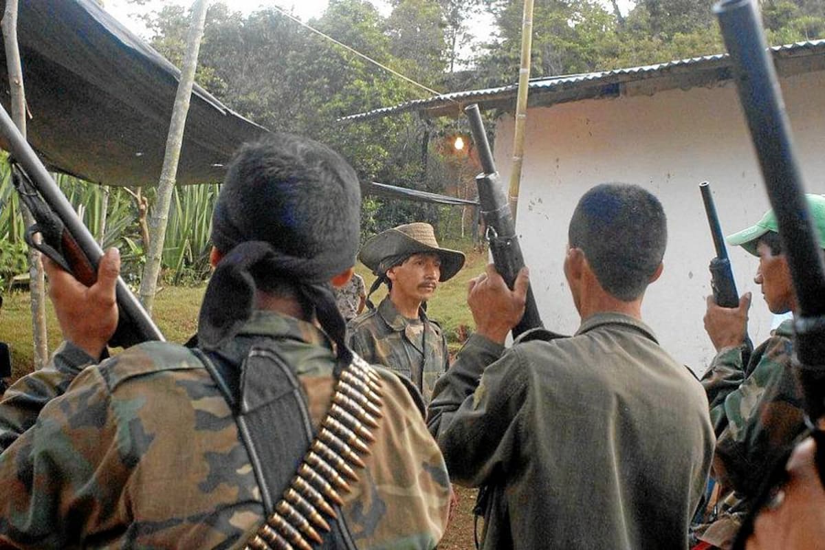 Muere guerrillera en combates con el Ejercito en Guacarí (Foto: Archivo/VANGUARDIA LIBERAL)
