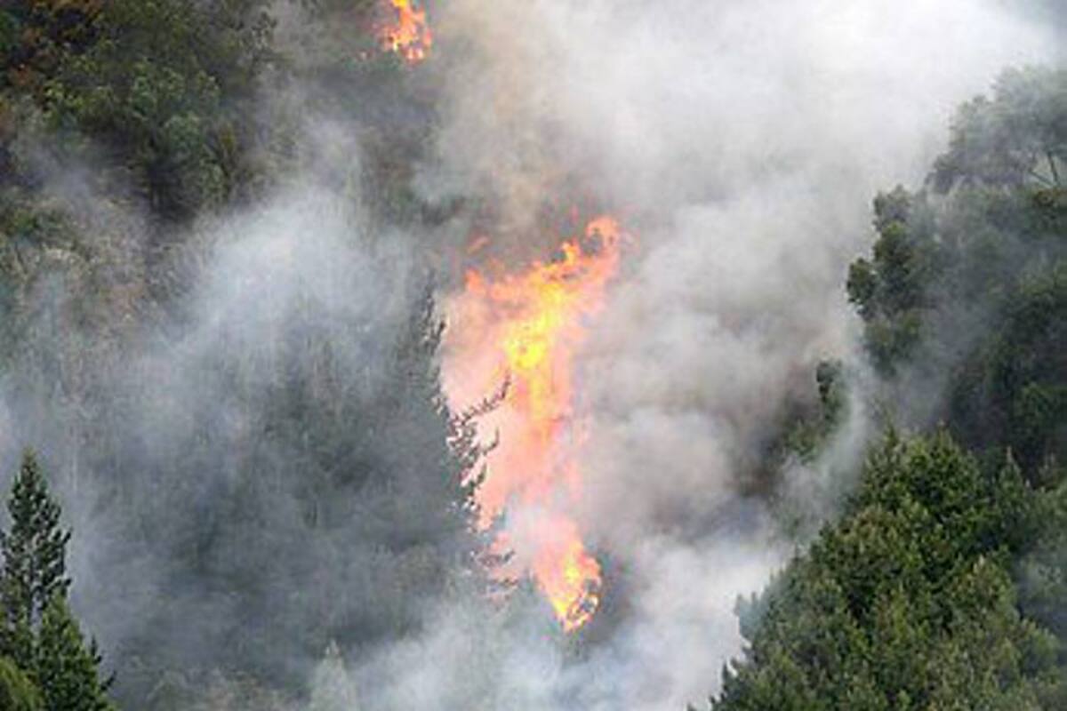 Incendio forestal de Cota se salió de control (Foto: Archivo/VANGUARDIA LIBERAL)