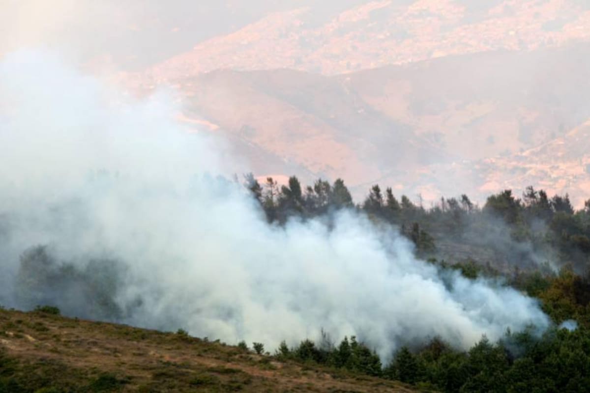 Más de 4 mil hectáreas afectadas por incendios (Foto: Colprensa/VANGUARDIA LIBERAL)