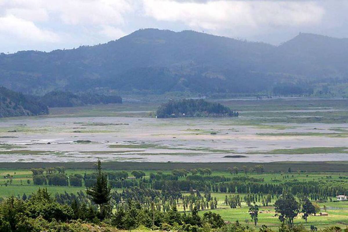 Alerta de la Procuraduría por Estado de la laguna de Fúquene (Foto: Archivo / VANGUARDIA LIBERAL)