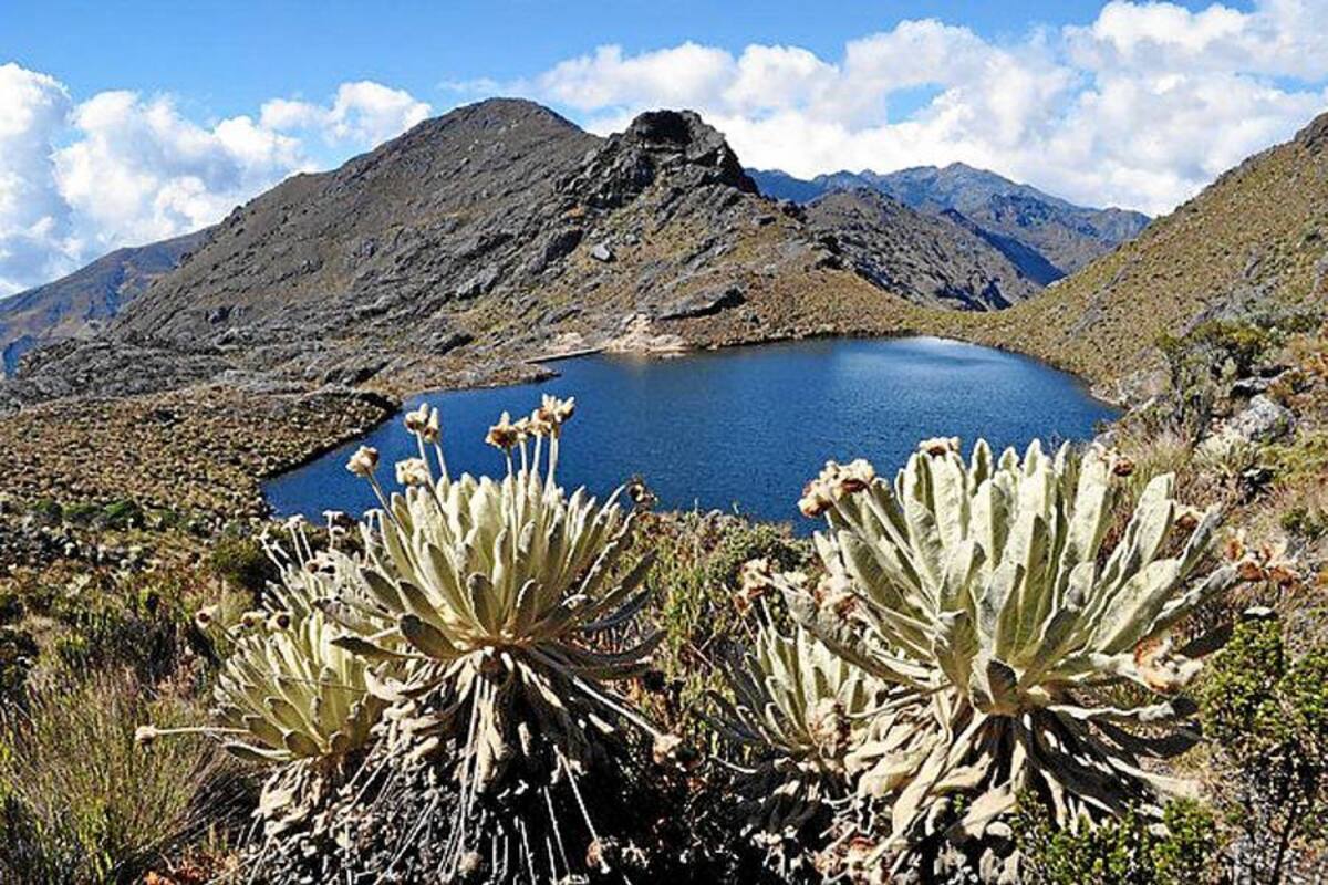 Procuraduría pide explicaciones sobre extensión del Parque Natural Santurbán (Foto: Archivo/VANGUARDIA LIBERAL)