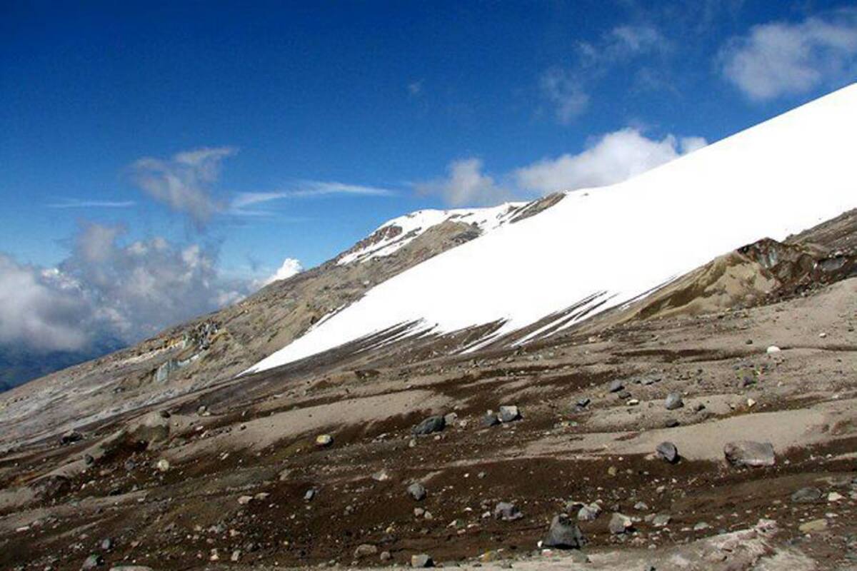 Un mes para visitar el parque Los Nevados (Foto: Archivo/VANGUARDIA LIBERAL)