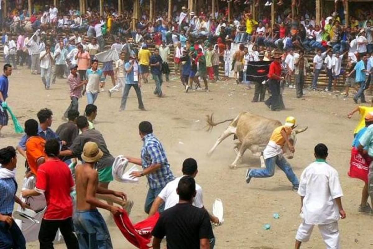 Benedetti propone prohibir las corridas de toros y corralejas (Foto: Colprensa /VANGUARDIA LIBERAL)