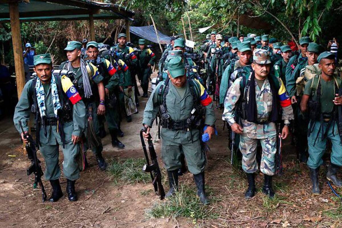Conozca quién decidiría si guerrilleros de las Farc serían extraditados (Foto: COLPRENSA/VANGUARDIA LIBERAL)