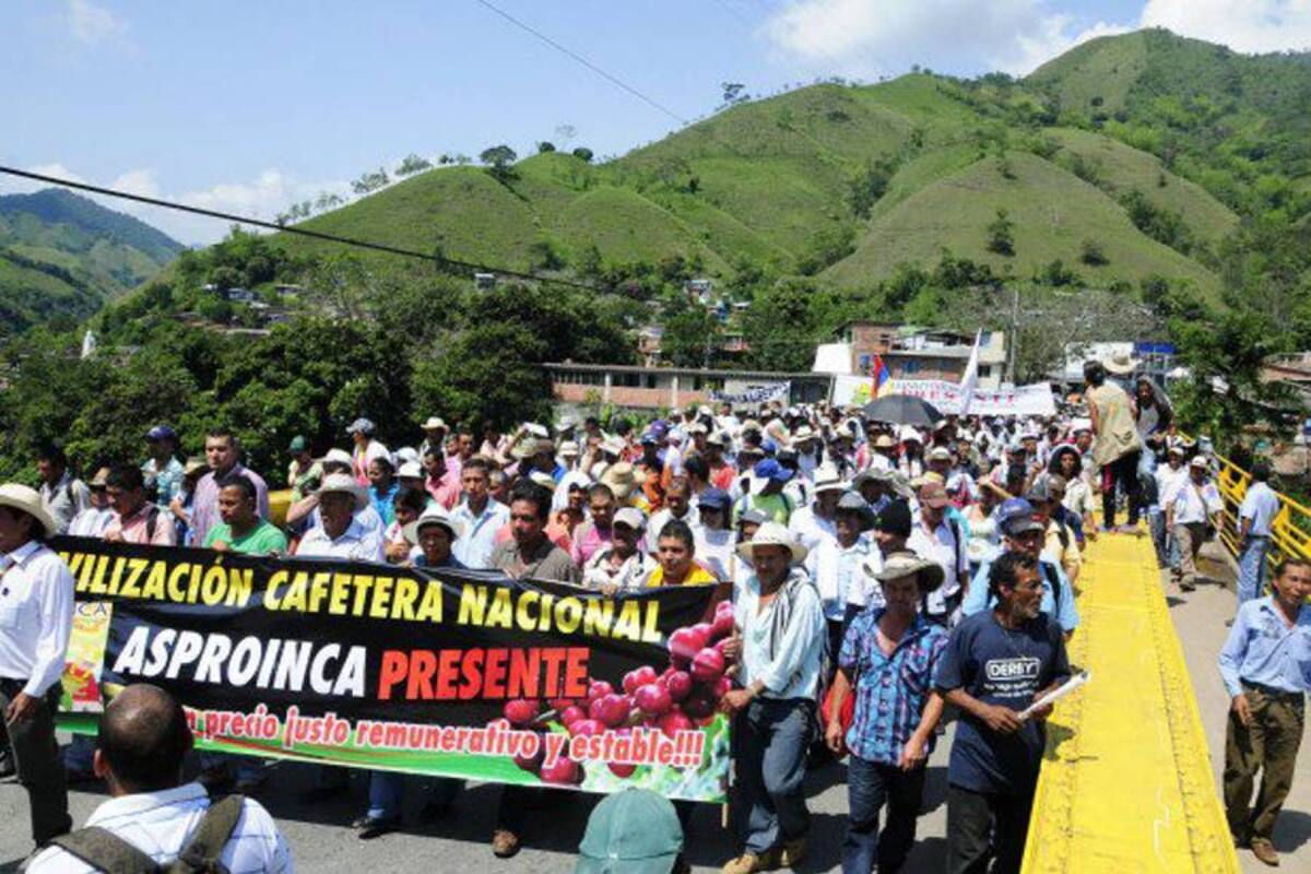 Gobierno invitó nuevamente a cafeteros a sentarse a dialogar (Foto: Archivo/VANGUARDIA LIBERAL)