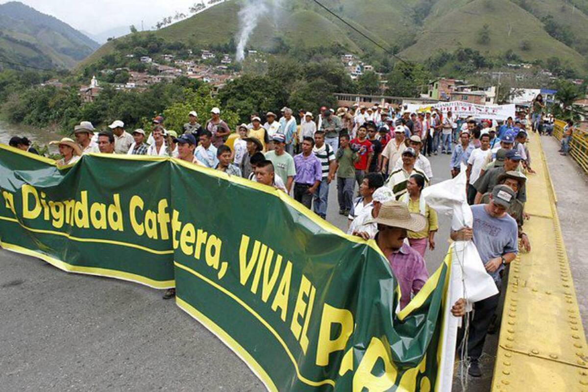 Caficultores se las ingenian para pasar el paro en Risaralda (Foto: Colprensa/VANGUARDIA LIBERAL)