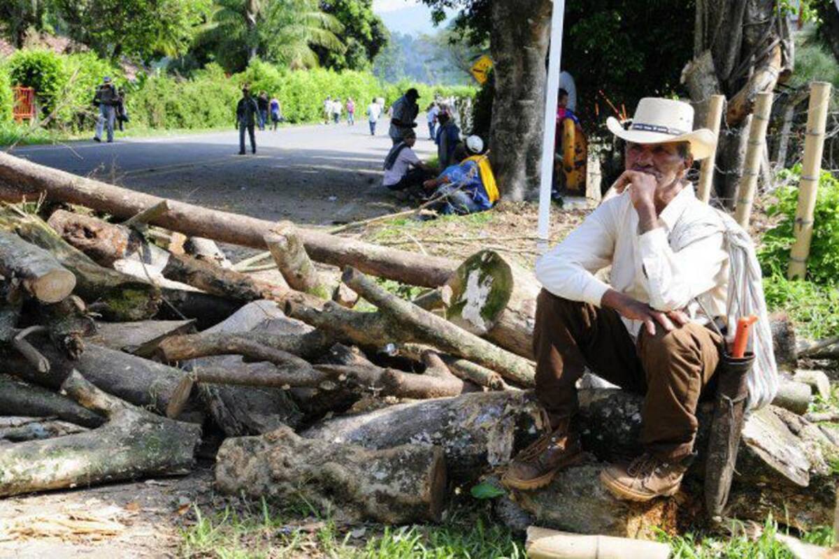 Comités se destapan y expresan malestar con gerente de Fedecafé (Foto: COLPRENSA/VANGUARDIA LIBERAL)