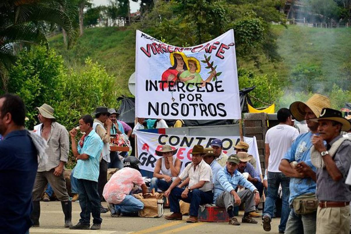 Iniciará reunión para tratar crisis del sector cafetero (Foto: Colprensa / VANGUARDIA LIBERAL)