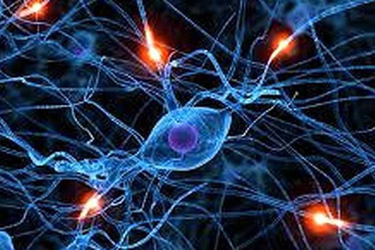Descubren que nuestro cerebro funciona como Internet (Foto: TOMADO DEABC.ES/VANGUARDIA LIBERAL)