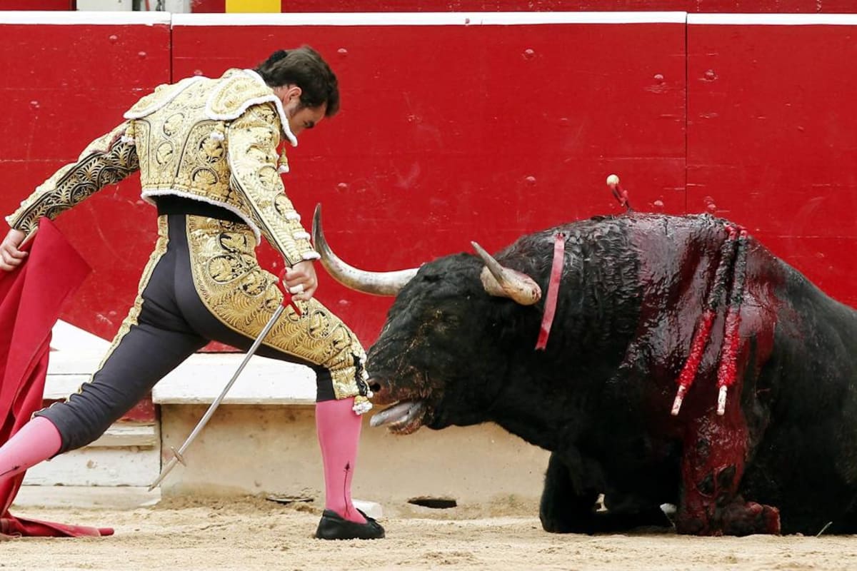 ¿Cómo afectará prohibición de corridas de toros las ferias en Santander? (Foto: Archivo / VANGUARDIA LIBERAL)