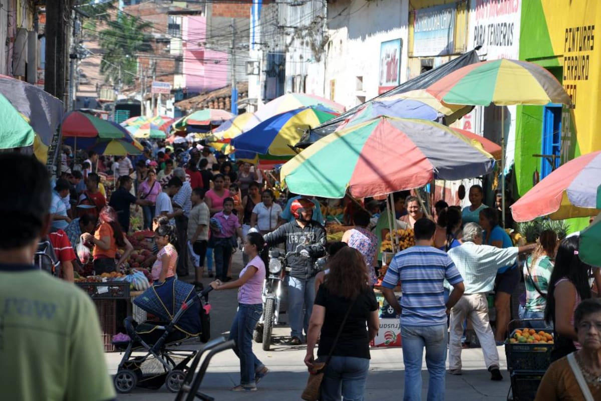 Las sanciones de multa, decomiso de mercancía o la destrucción de la misma son desproporcionadas (Foto: ARCHIVO/VANGUARDIA LIBERAL)