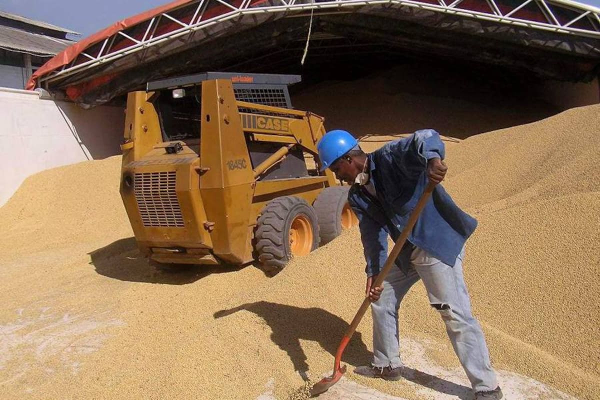 Por primera ocasión hay 20 millones de personas ocupadas según el Dane (Foto: Archivo/VANGUARDIA LIBERAL)