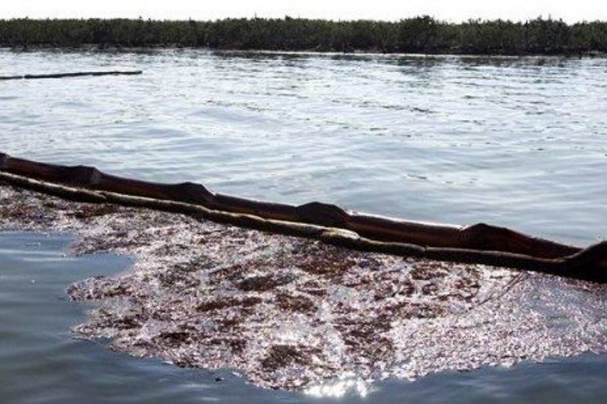 Chevron dice que el vertido en Atlántico brasileño se ha reducido a un goteo (Foto: Tomada de Internet/ VANGUARDIA LIBERAL)