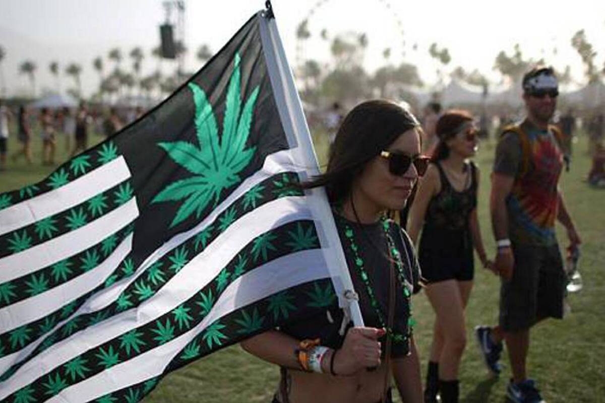 La marihuana es la droga ilícita que más escogen los estadounidenses (Foto: TOMADA DE INFOBAE/VANGUARDIA LIBERAL)