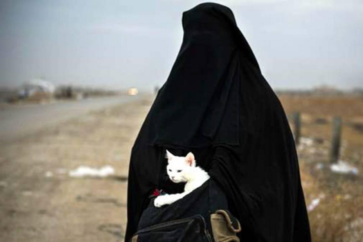 La foto retrata el drama del éxodo desde Mosul que está ocurriendo en estos días