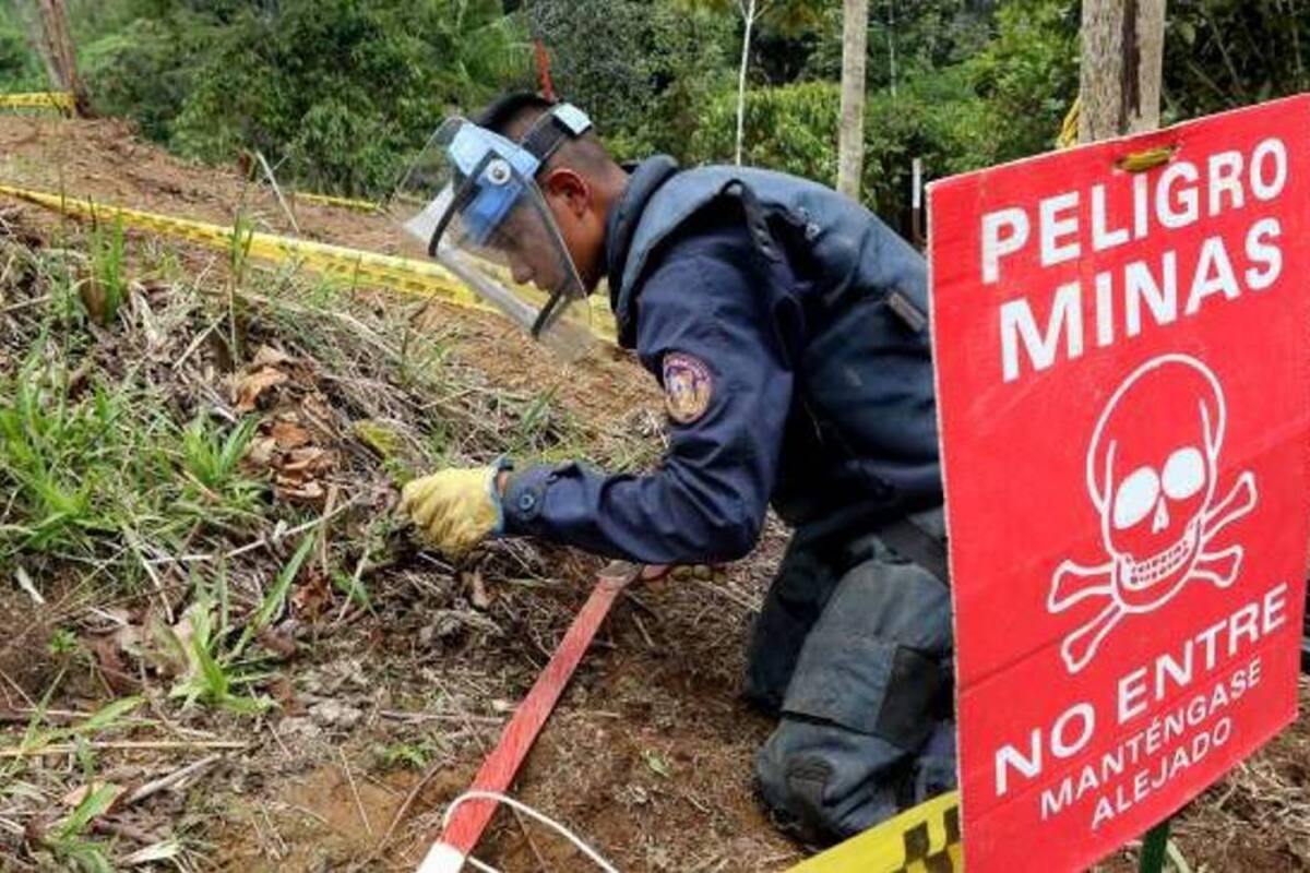 Desminado humanitario, una labor compleja, riesgosa y a largo plazo: expertos (Foto: Colprensa/VANGUARDIA LIBERAL)