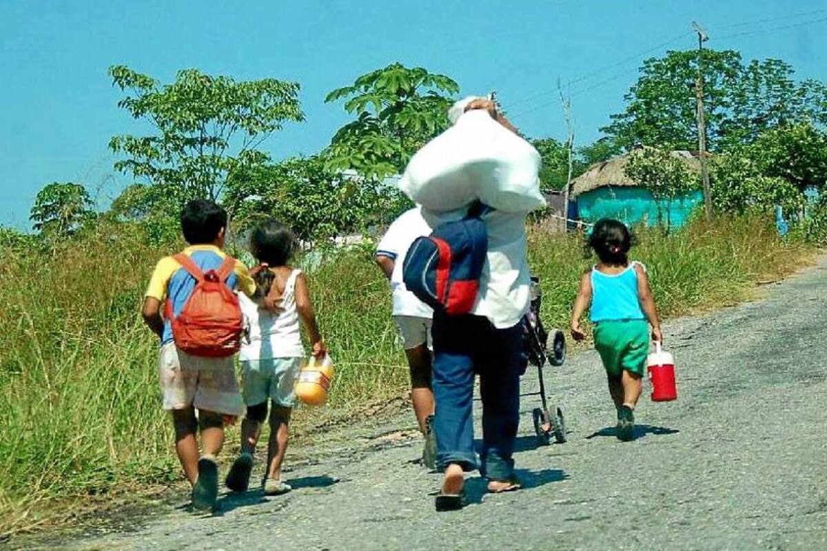 El Gobierno descubrió usurpación de tierras en los farallones de Cali (Foto: Suministrada/VANGUARDIA LIBERAL)