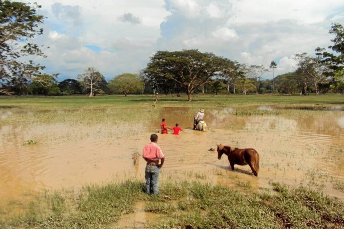 Piden que Procuraduría revise contratos de jarillones en Sabana (Foto: Archivo/VANGUARDIA LIBERAL)