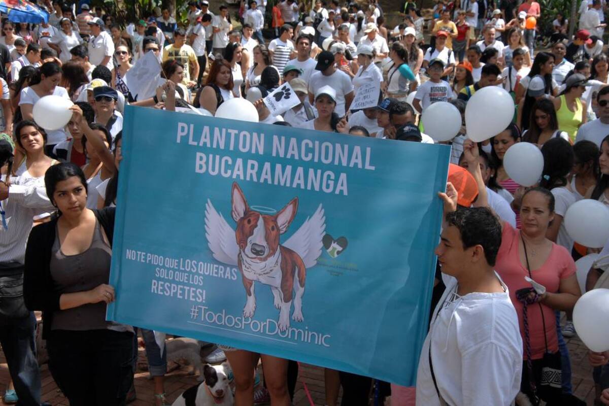 Imágenes del plantón al no maltrato animal en Bucaramanga (Foto: Archivo/VANGUARDIA LIBERAL)