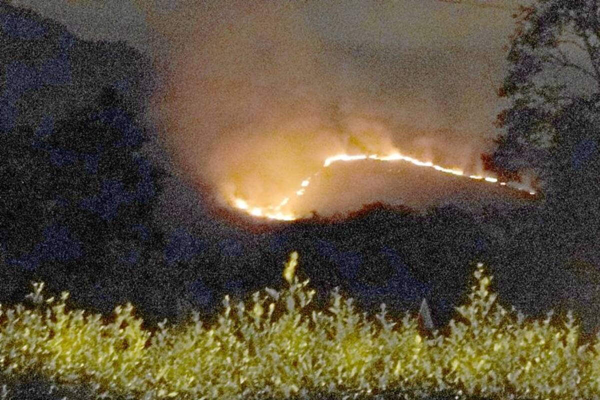 Incendio forestal arrasa 10 hectáreas en Piedecuesta (Foto: Suministrada Gloria Bueno / VANGUARDIA LIBERAL)