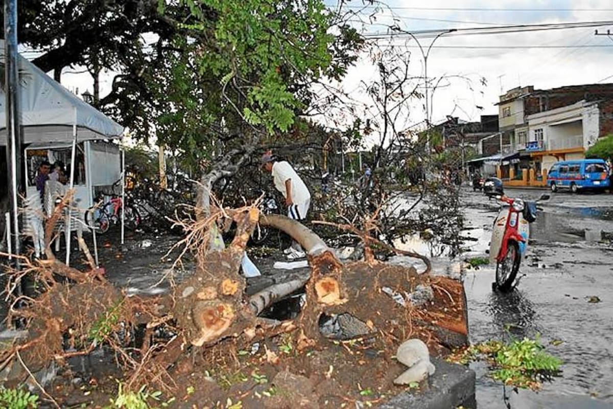 Árboles caídos y casas destechadas tras fuerte vendaval en Tuluá (Foto: Archivo/VANGUARDIA LILBERAL)
