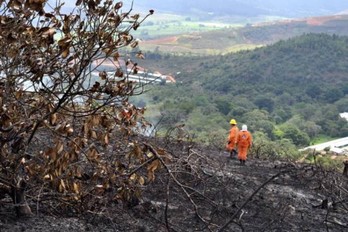 (Foto: Suministrada/VANGUARDIA LIBERAL)