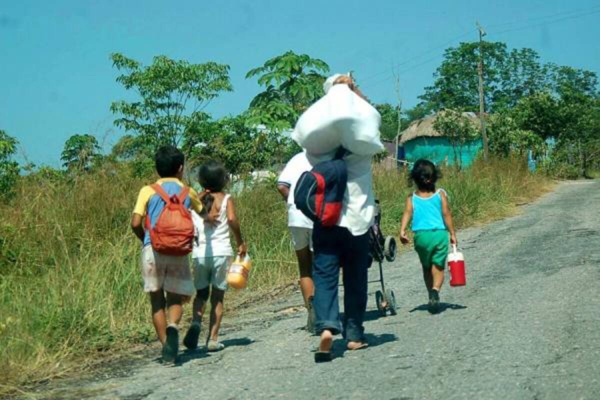 Actualmente el predio está en manos de una sociedad de Palmicultores.(Foto: Archivo/VANGUARDIA LIBERAL)
