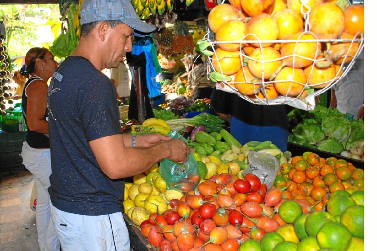Precios de los alimentos en el mundo se mantuvieron estables en agosto (Foto: Archivo/VANGUARDIA LIBERAL)