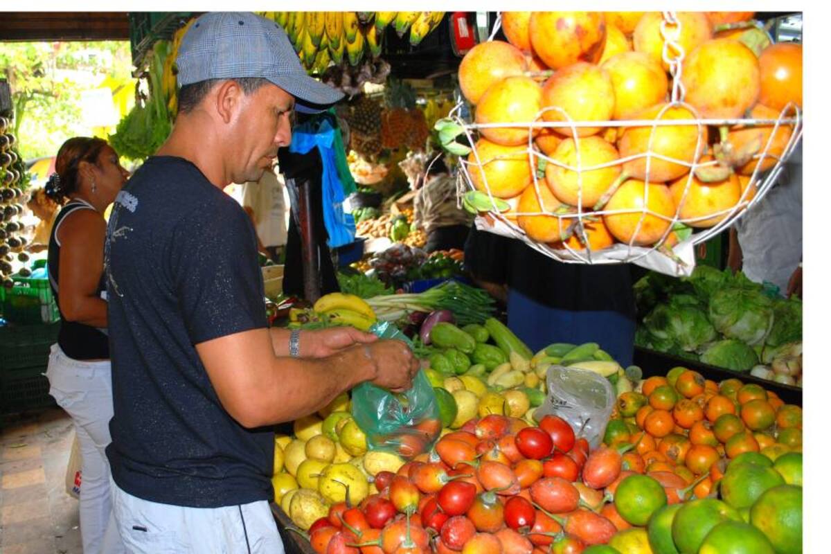 En el informe se recomienda la ingesta de un mínimo de 400 gramos diarios de frutas y verduras, grupo alimenticio en el que no se debe contar la papa, la yuca ni otros tubérculos, de alto consumo en países como Colombia. (Foto: Archivo, VANGUARDIA LIBERAL)