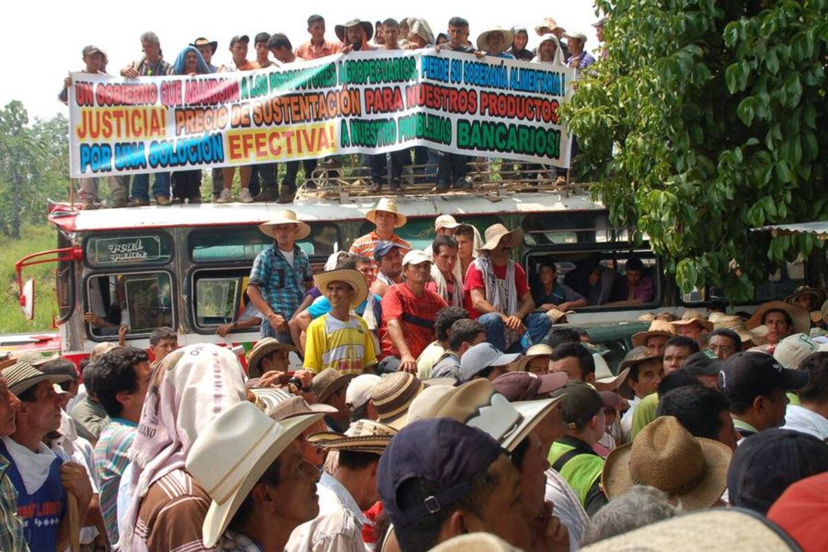 Cacaoteros de Santander necesitan $60 mil millones para precio mínimo de garantía (Foto: Archivo/VANGUARDIA LIBERAL)