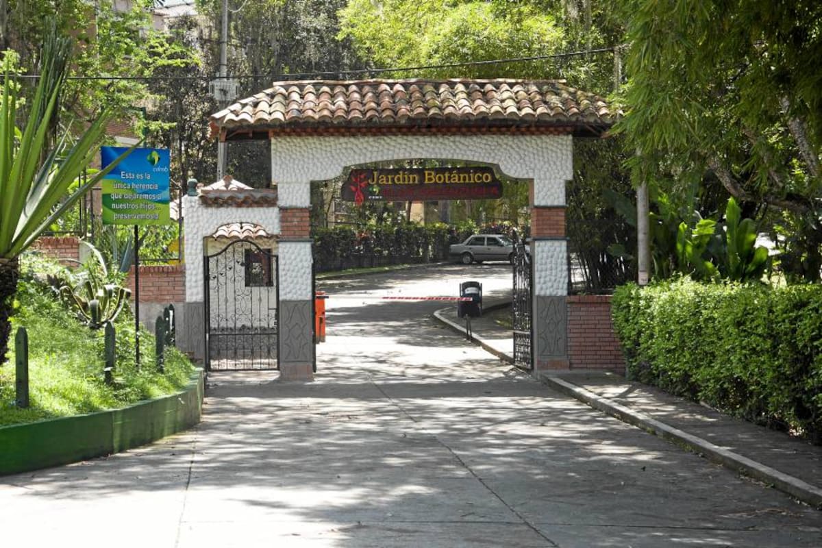 Jardín Botánico Eloy Valenzuela, Reabre (Foto: Foto Suministrada/VANGUARDIA LIBERAL)