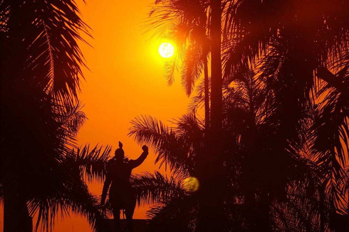 Racha de calor en la tierra ya lleva 13 meses continuos (Foto: COLPRENSA/VANGUARDIA LIBERAL)