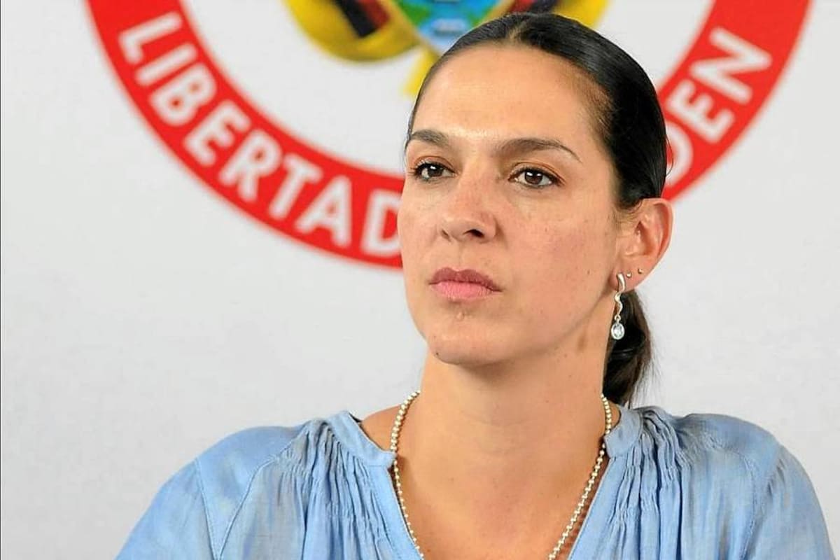 Directora Nacional de Minería a gran escala, Claudia Jiménez. (Foto: Archivo / VANGUARDIA LIBERAL)
