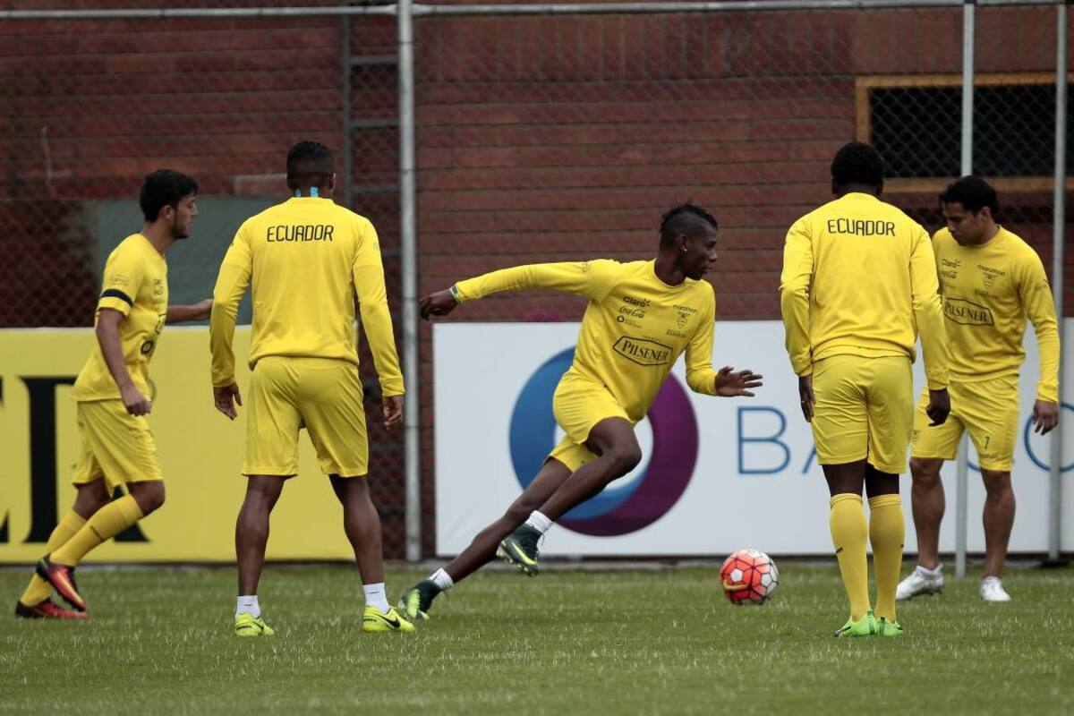 20 puntos suma Ecuador en la tabla de posiciones de la Eliminatoria al Mundial de Rusia. (Foto: EFE /VANGUARDIA LIBERAL)