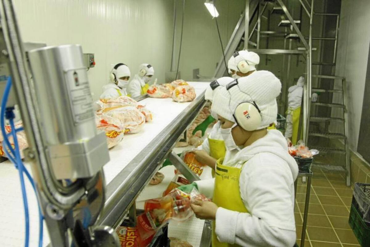 Comienza importación de pollo de EU a Colombia, tras firma del TLC (Foto: Archivo/ VANGUARDIA LIBERAL)