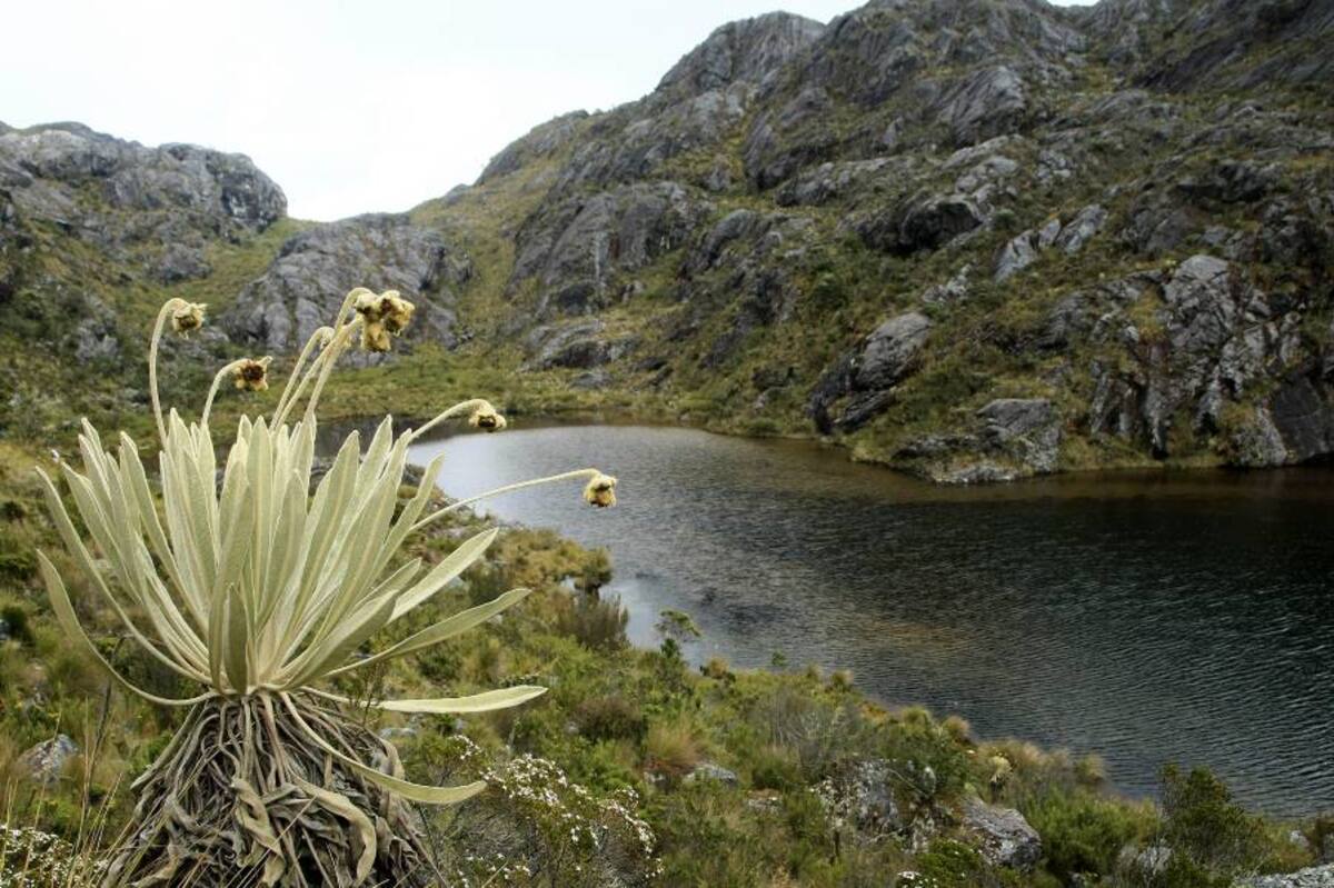 ‘En tres meses delimitaremos Santurbán’: Minambiente (Foto: Archivo/VANGUARDIA LIBERAL)