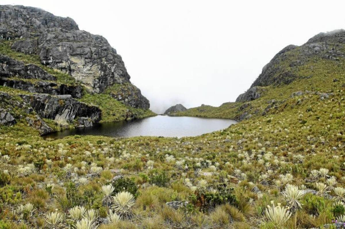 El Humboldt dio concepto favorable para Parque Regional Natural de Santurbán (Foto: César Flórez / VANGUARDIA LIBERAL)