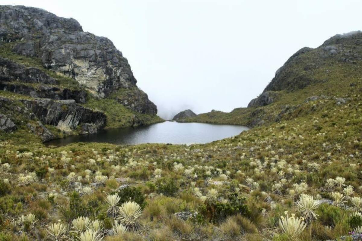 Consejo Directivo de la Cdmb escuchará hoy al von Humboldt sobre Santurbán (Foto: Archivo/VANGUARDIA LIBERAL)