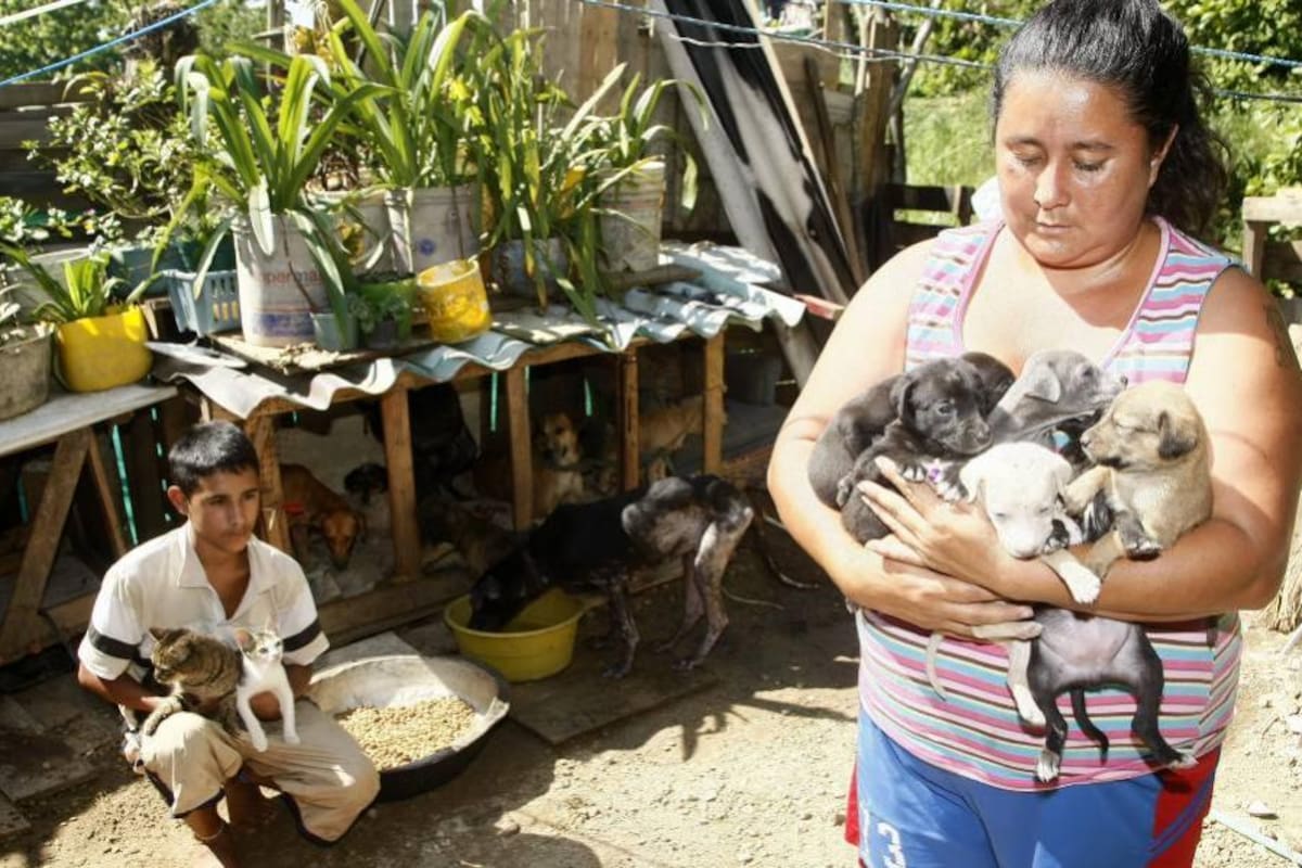 Un hogar, 26 animales y muchas deudas (Foto: CESAR FLOREZ/VANGUARDIA LIBERAL)