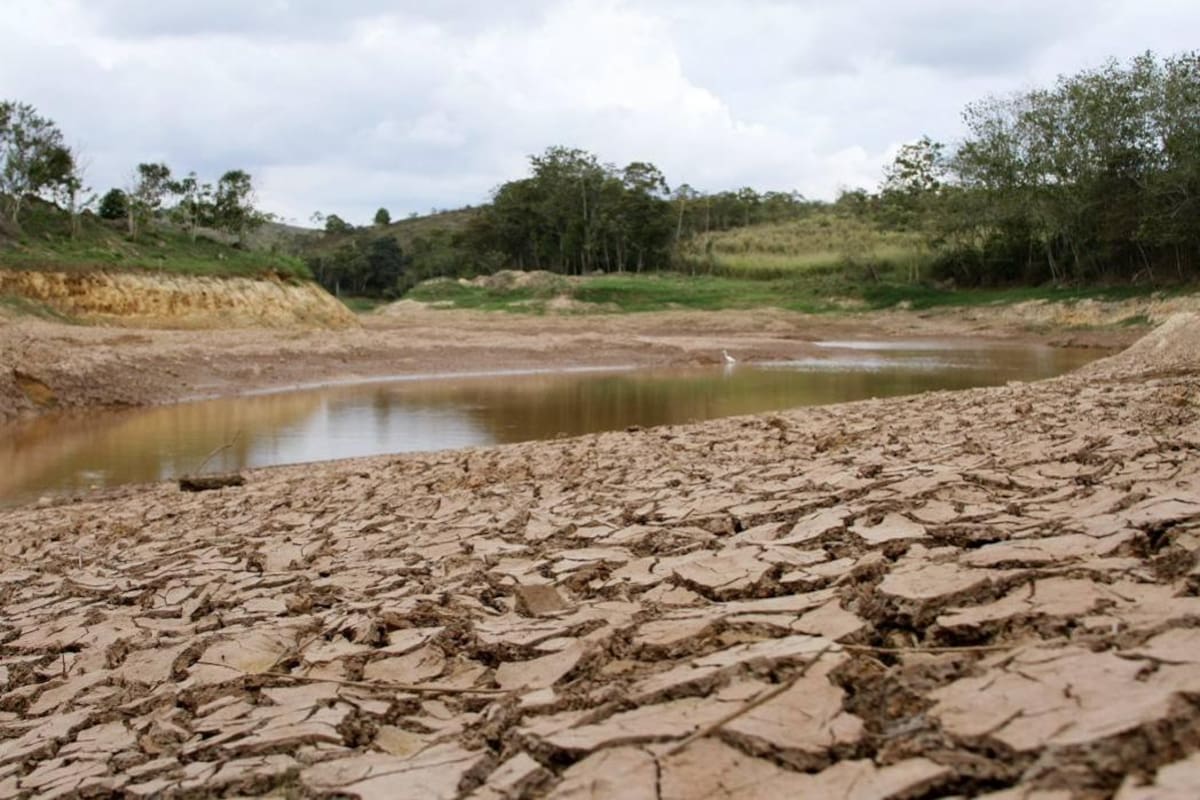 Santander necesita mil millones de pesos para ayudar a 20 municipios en sequía (Foto: Archivo/VANGUARDIA LIBERAL)