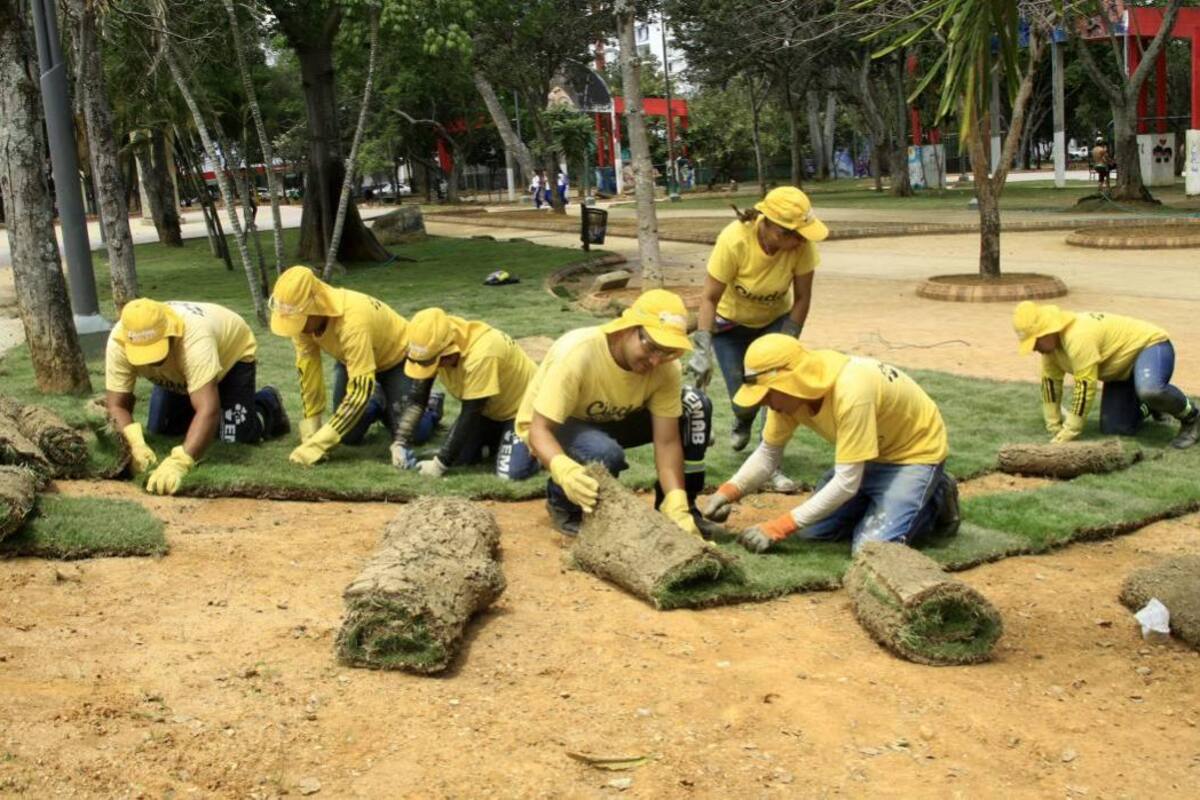 La Alcaldía prometió que antes de que finalice el año, instalarán 58 mil metros cuadrados de césped. (Foto: César Flórez /VANGUARDIA LIBERAL)
